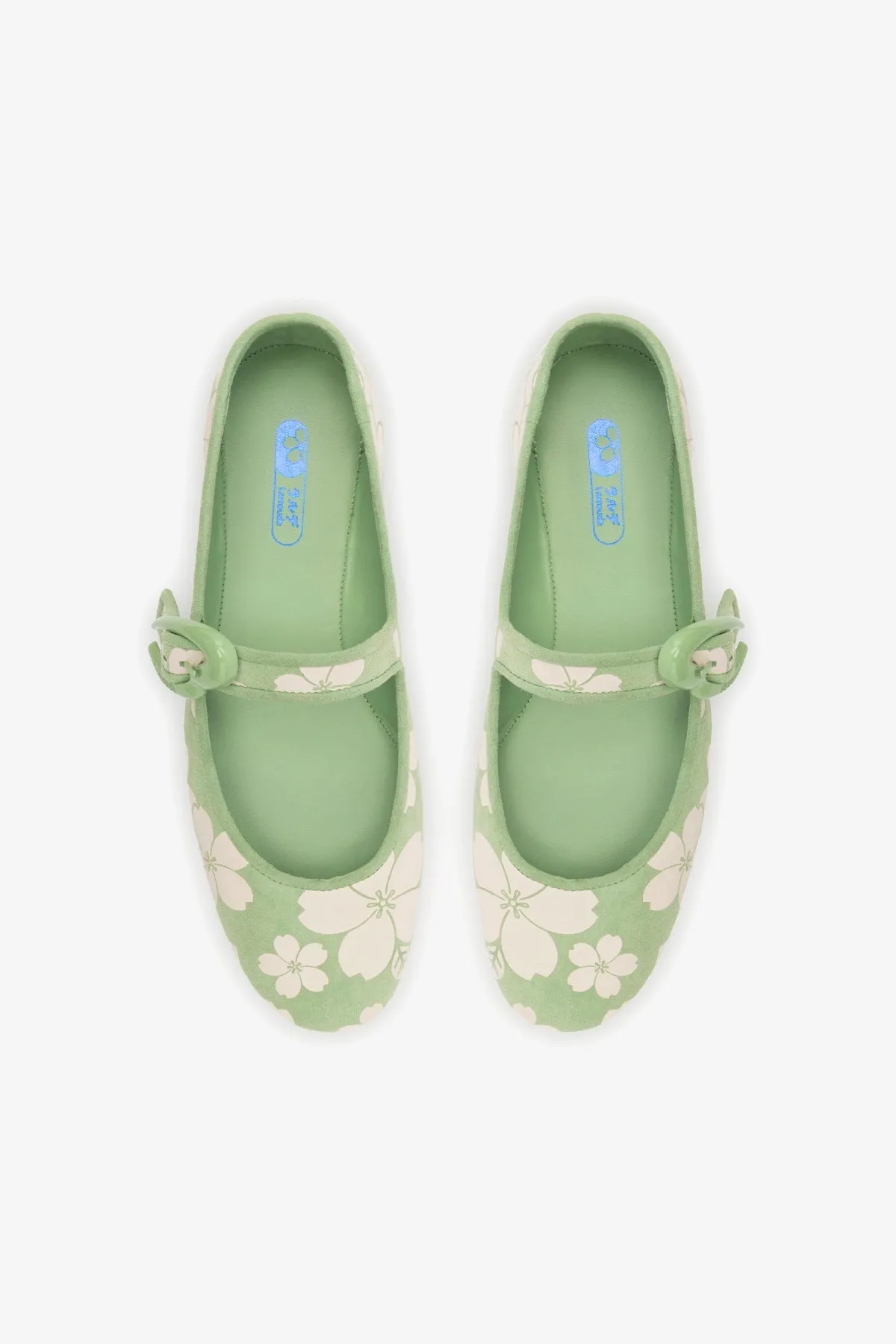 Verona Ballet Flat In Pistacchio Sakura Printed Suede