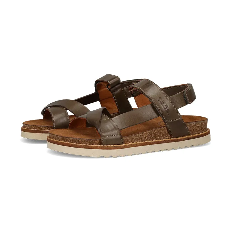 Women's Sideways Olive